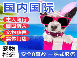 大兴空运公司国际宠物托运 【国